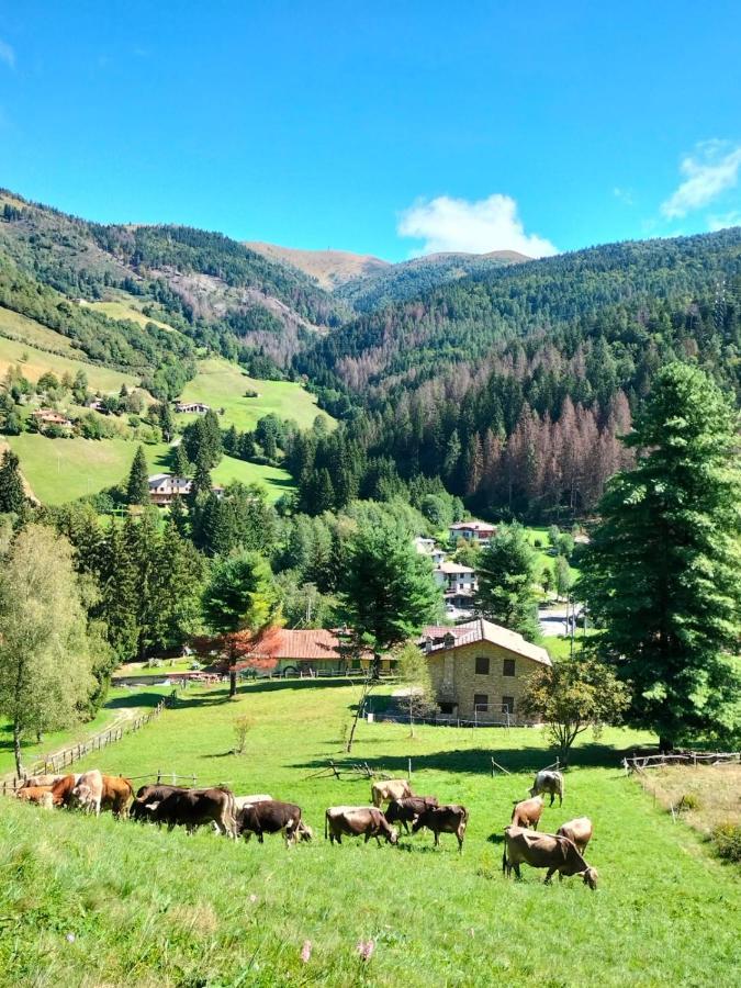 Casa Vacanza Pieve Пизонье Экстерьер фото